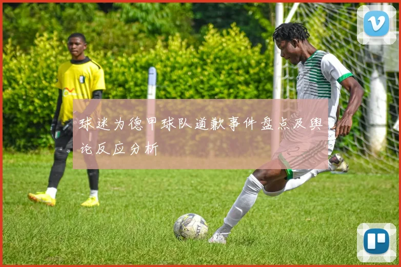 球迷为德甲球队道歉事件盘点及舆论反应分析