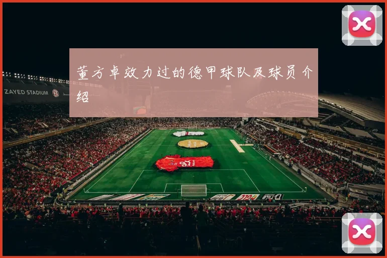 董方卓效力过的德甲球队及球员介绍