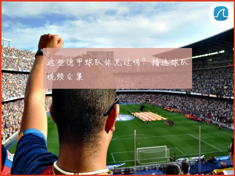 这些德甲球队你见过吗？精选球队视频合集