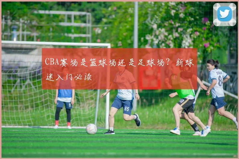 CBA赛场是篮球场还是足球场?新球迷入门必读