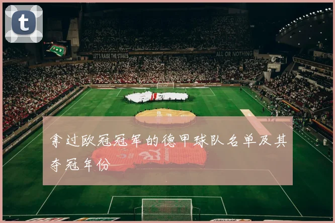 拿过欧冠冠军的德甲球队名单及其夺冠年份